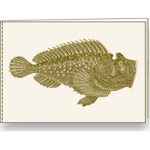 Decorative Notebook A5 ROSSI BR NB S31 A – ruled A5 notebook, decorative cover