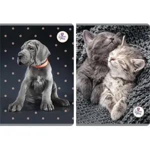 Notebook A5 Beniamin The Sweet Pets, lined, 60 pages, pack of 5