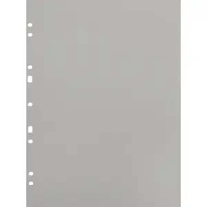 Ringbinder A4 Refillsheets 30-pack, focus — Grey, compatible with ring binders