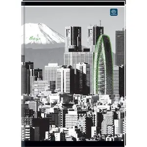 Notebook INTERDRUK Brulion A5 96 sheets plain paper pack of 5