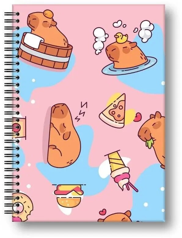 School Notebooks