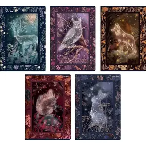 Notebook A5 TOP-2000 Fairytale 60 sheets squared pack of 10