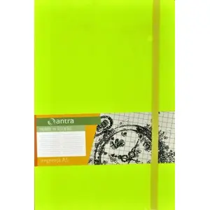 Notebook Antra Notes A5 Kropki Impresja — A5 dotted notebook, brand Antra, model 244292