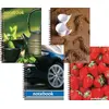 header-product