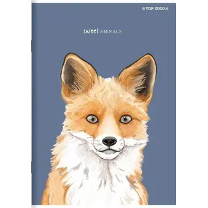 Notebook TOP-2000 City A5, ruled, 60 sheets, model 400169500