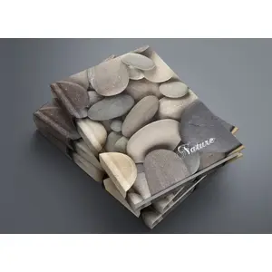 Notebook A5 96 pages Office Products BRULION NATURE — lined, portable format