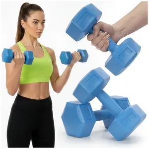 Гантели Springos ACT0160 — 2 × 2,5 кг, наружный слой PP, битумная начинка, 24×13×11,5 см, рукоять 10 см