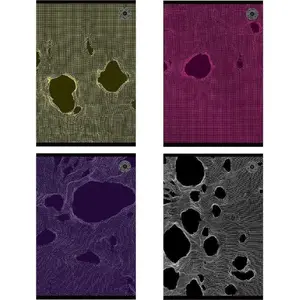 Notebook Ziemia Obiecana A5, 80 sheets, squared grid, tear-out, pack of 5