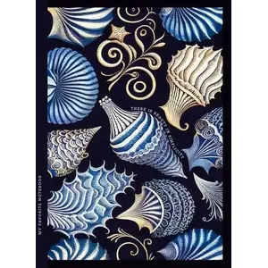 Decorative Notebook Fresh Notatnik 143×200 mm, 64 sheets, grid, cover 'Muszle'