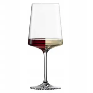 Glass set ZWIESEL ECHO Allround 572 ml (set of 4)