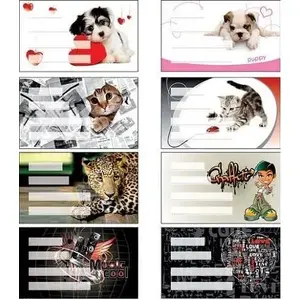 Sticker set panta plast Girls — pack of 24 decorative stickers for notebooks and crafts