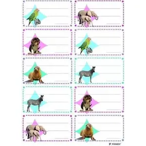 Stickers for Notebooks FANDY 06 — decorative adhesive sheets for personalizing notebooks and school supplies