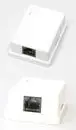 Wall-mounted NETRACK NP520 patch panel outlet 2×RJ45 FTP Cat5e