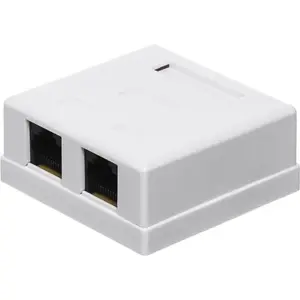 Wall-mounted outlet NETRACK 2×RJ45 8P8C (model 10621) — complete surface-mount network socket
