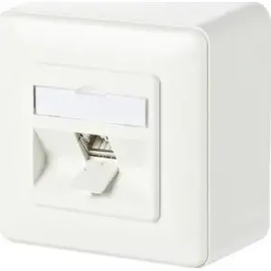 Triton C6Amodul 1-port 180° surface outlet — RAL9010 pure white