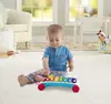 MATTEL Fisher-Price Classic Xylophone — bērnu ksilofons Photo 2