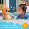 Fisher-Price HXG96 learning toy HXG96 Photo 8