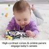 Fisher-Price HXG96 learning toy HXG96 Photo 10
