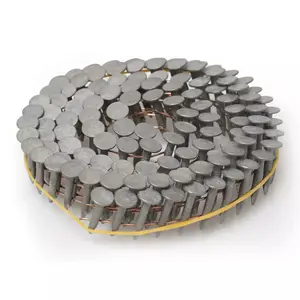 Nails Dedra A536425 – pack of 1 piece
