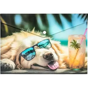 panta plast A4 polypropylene envelope with zip closure, printed 'Chillout Dog' design