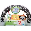 Aktivitāšu paklājs Fisher-Price 2-in-1 Flip & Fun Photo 4