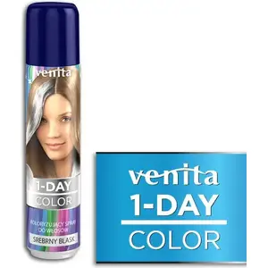 Matu krāsu sprejs Venita 1-Day color spray 6 srebrny blask