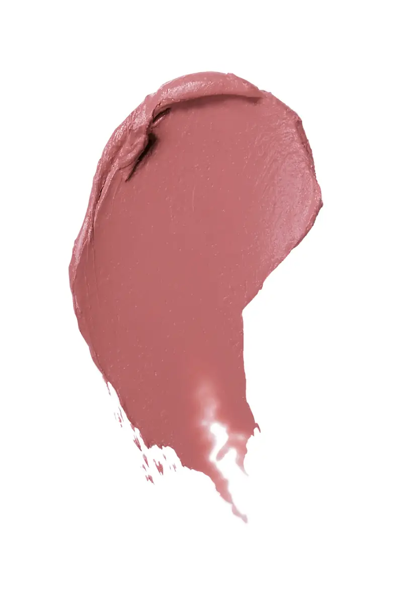 Estée Lauder Pure Color Envy Matte 551 Impressionable Photo 2