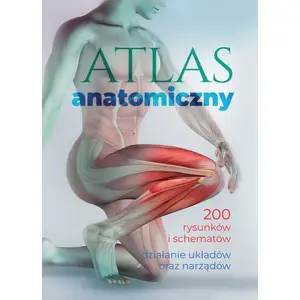 Анатомический атлас SBM Atlas anatomiczny – SBM, издание с анатомическими таблицами (70651A05379KS)