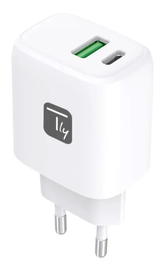 TECHLY IPW-USB-20WAC indoor 20W charger Photo 2