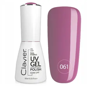 Nail Gel Polish Realac CLAVIER Nailsology 061 Secret Affair 8 ml