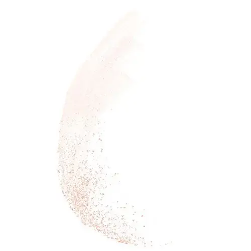 Пудра для лица Bourjois Paris Poudre de Riz de Java 3.5 г Photo 3
