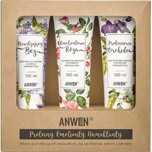 Conditioner set Anwen Zestaw 3 for high porosity hair — 3 × 100 ml (ANW-195)