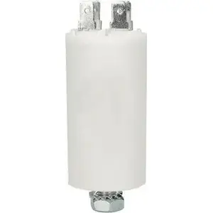 Electrolytic Capacitor 100 µF No name Czę000342 – 100uF Polarized Capacitor