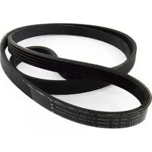 Timing belt (PASEK 1184 PJ5) replacement belt, No name, MPN Czę000746