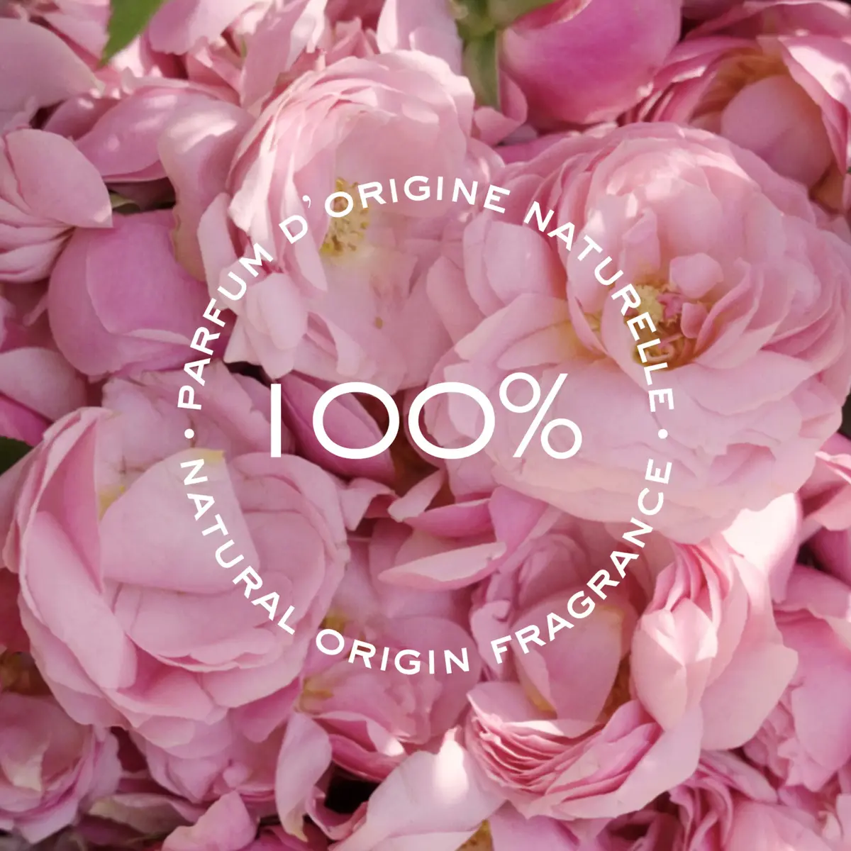 Chloe Rose Naturelle Eau de Parfum 50 мл Photo 6