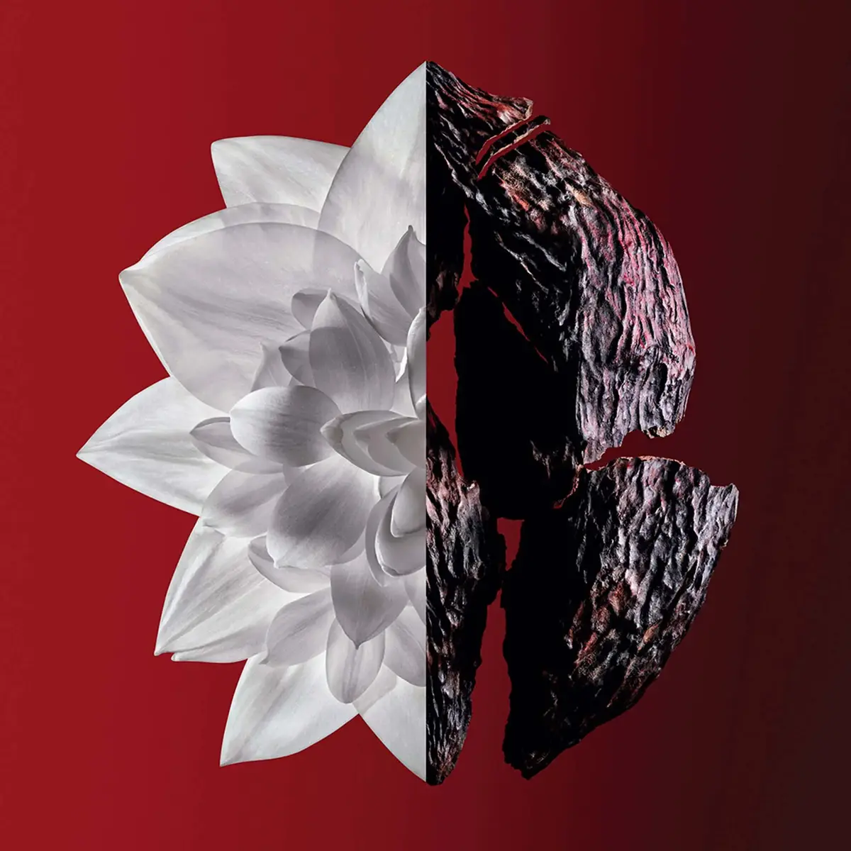 Духи Givenchy L’Interdit Rouge Ultime 50 мл Photo 2