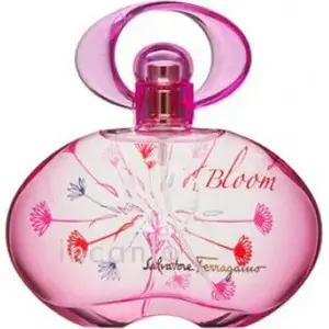 Eau de Toilette Salvatore Ferragamo Incanto Bloom New Edition 100 ml