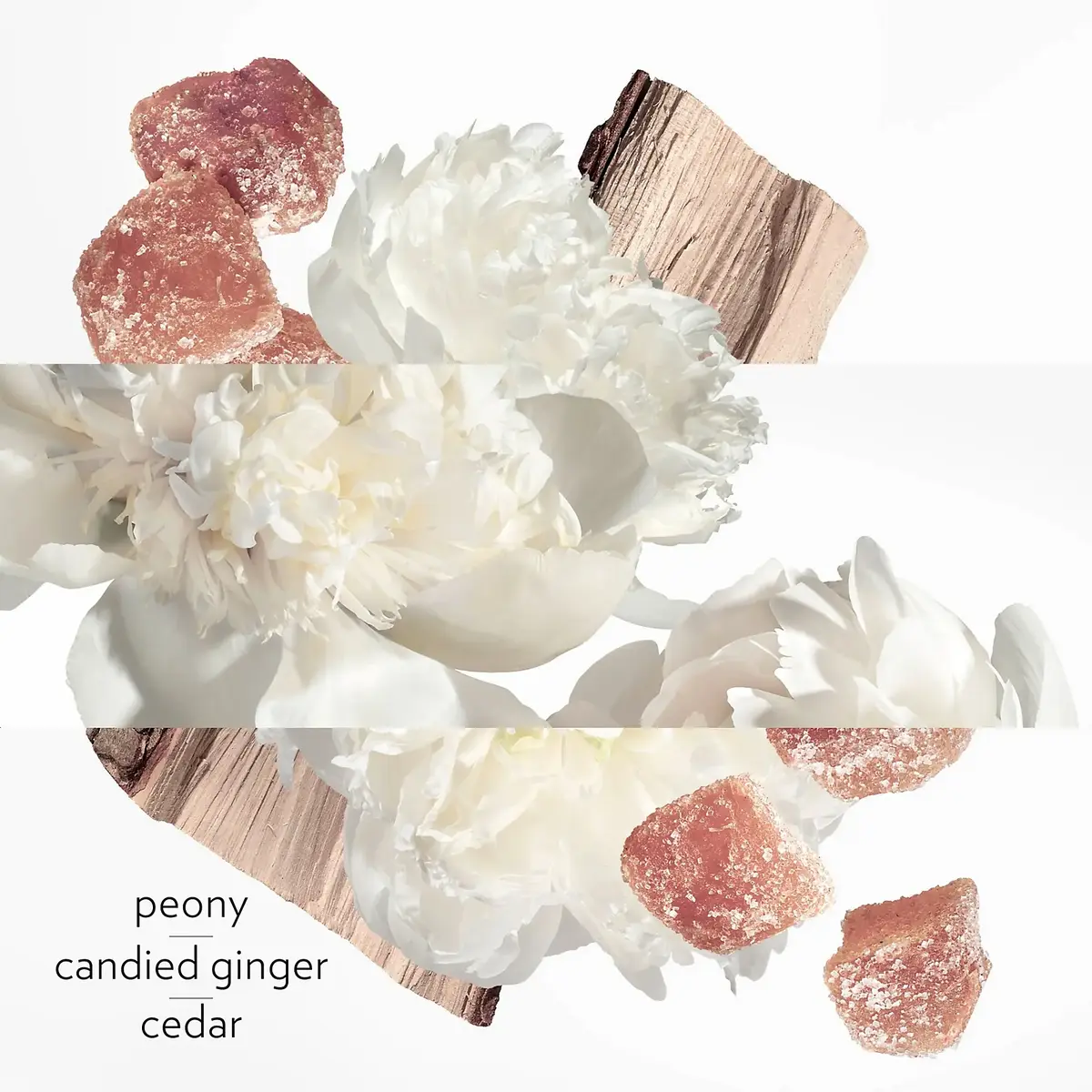 Hermes Twilly Eau Ginger 103951V0 Photo 3