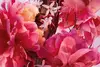 Parfīms DIOR Miss Parfum 50 ml Photo 3