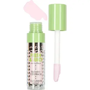 Face Camouflage Concealer Lovely Fresh & Juicy 4 — shade 4.5, compact cream coverage