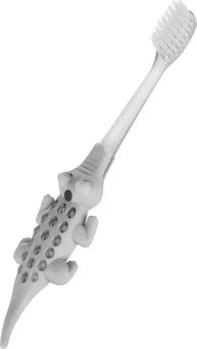 Electric Toothbrushes
