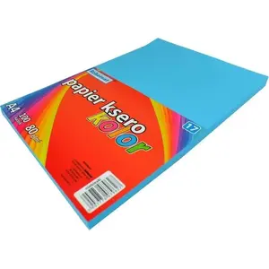 Copy paper A4 SCHEMAT 100 sheets blue