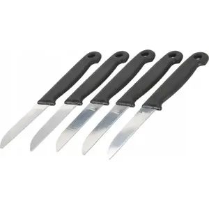 Nazņu komplekts ZWILLING 5 gab. — mizgošanai dārzeņiem un augļiem, modelis 259405