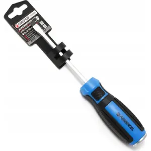 Screwdriver Forsage SL 5x100mm magnetic slotted (F-7131005M)