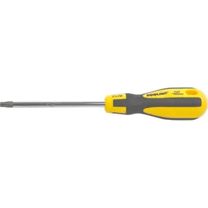 Manual screwdriver Proline ZR10193, 100 mm, Security Torx tip, 1 pc