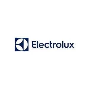 Пылесос‑щётка Electrolux EP82H25WET — аккумуляторный Li‑Ion 4 А·ч, 100 Вт, безмешковый циклон, 0.4 л, сухая и влажная уборка, серый