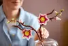 LEGO Botanicals 11510 Magnolian oksat set Photo 11