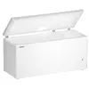 Liebherr CFe 2500 Pure chest freezer Photo 2
