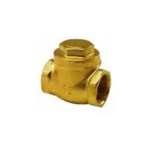 Check valve (flap) ARCO 190205, 1" internal thread, rubber seat closure