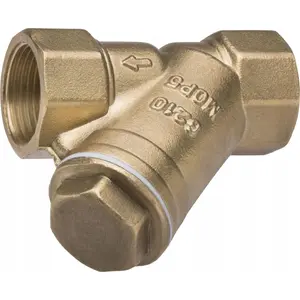 Gas mesh filter FERRO F4G G41 5/4" female-female connector